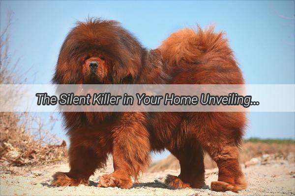 The Silent Killer in Your Home Unveiling the Causes of Canine Oxygen Deprivation